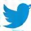 Twitter icon